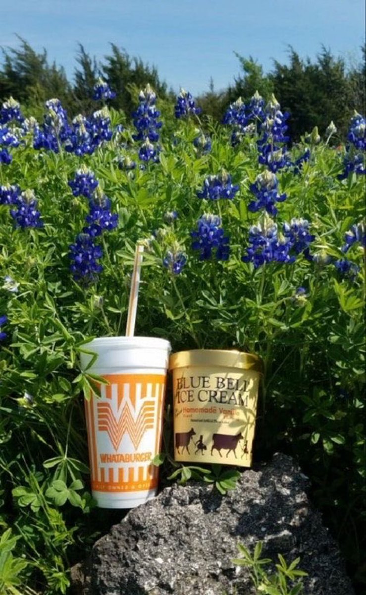 FactsAboutTexas's tweet photo. 🤠 https://t.co/gfF9HvejBG