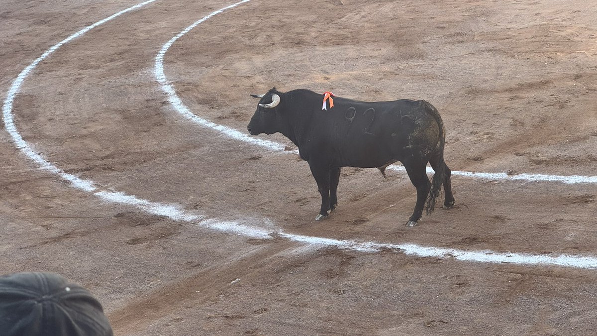 Christian Rodríguez tweet media