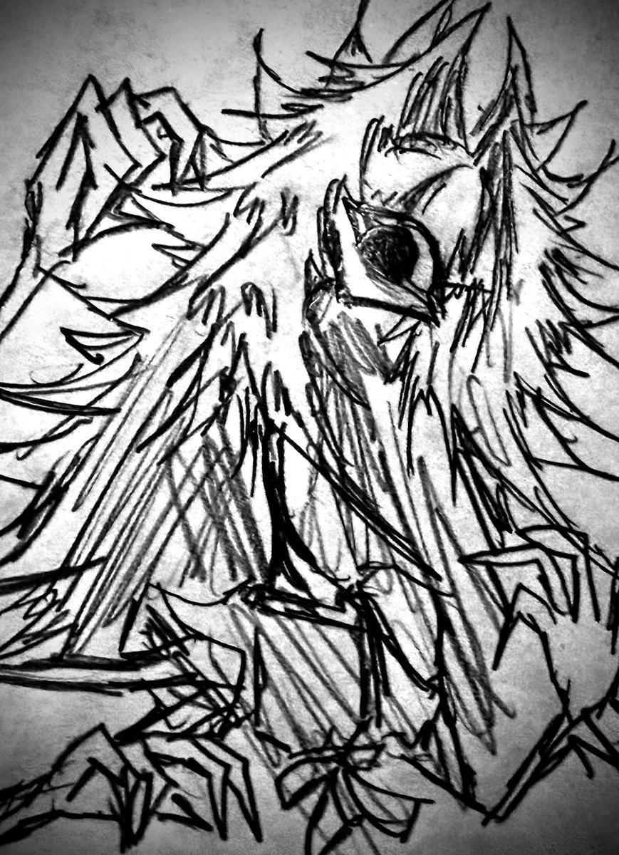 宇治味噌 tweet media