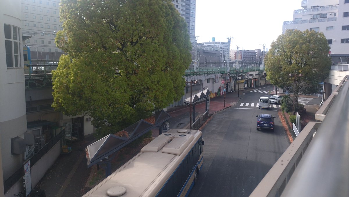 すこみ tweet media