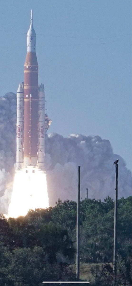 Deskooled tweet media