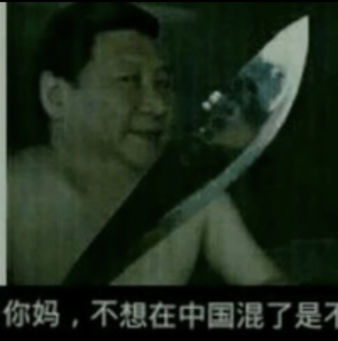 中共國的偉大接班人(境内势力)🇹🇼🇺🇸🇯🇵🇪🇺 tweet media