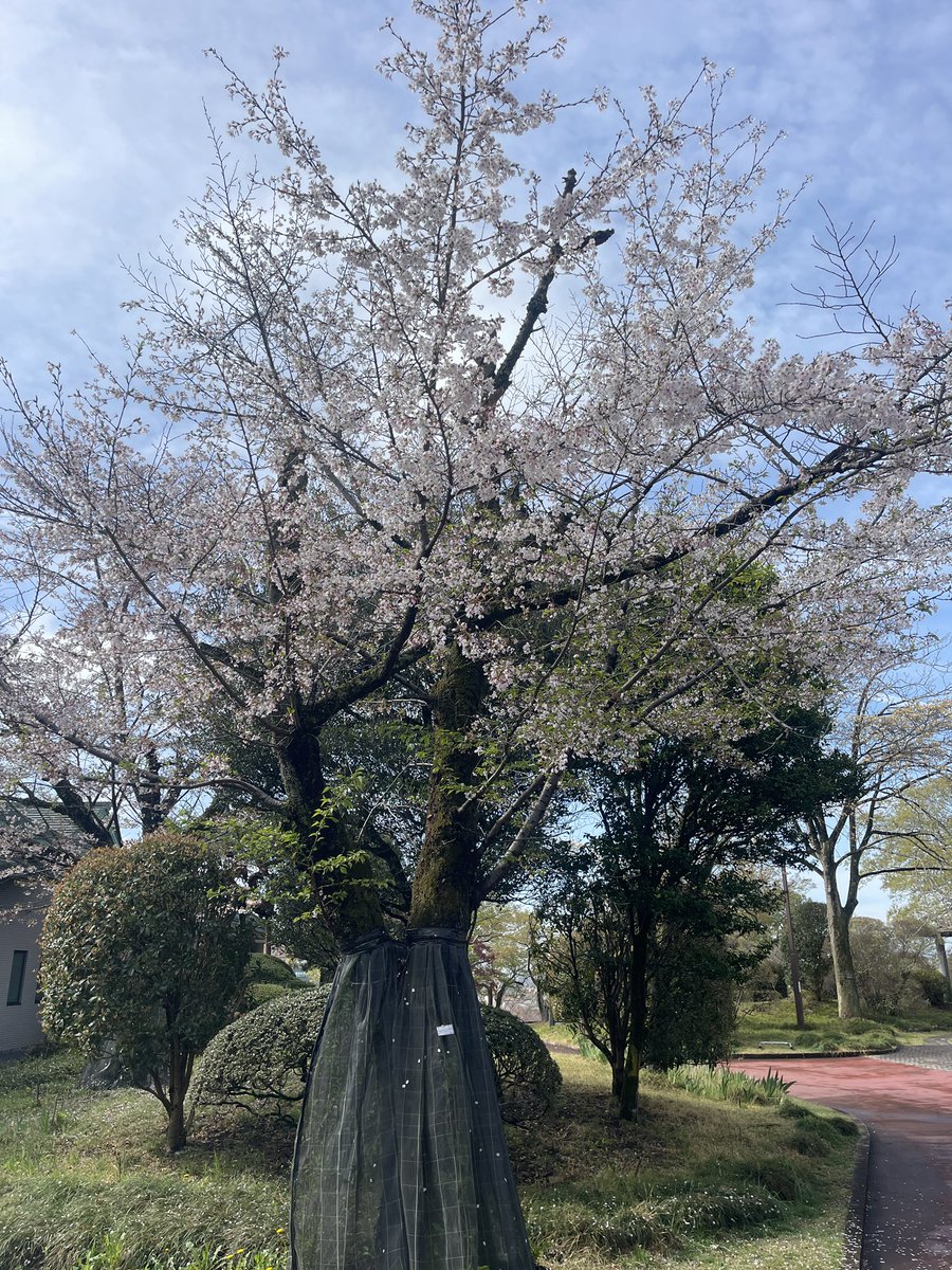 るなまさ tweet media