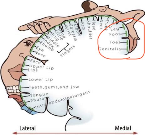 Kassie AF tweet media