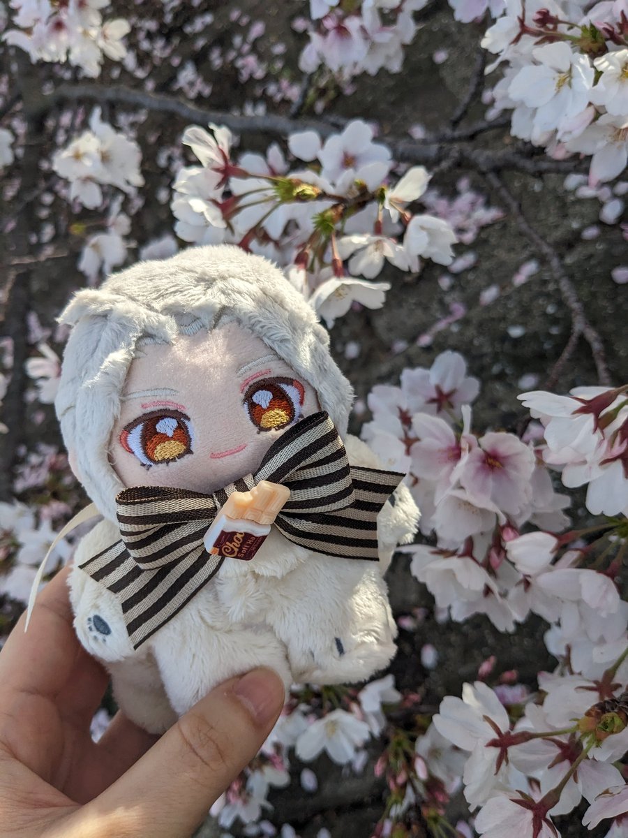 とうこ5/5東1さ17a tweet media