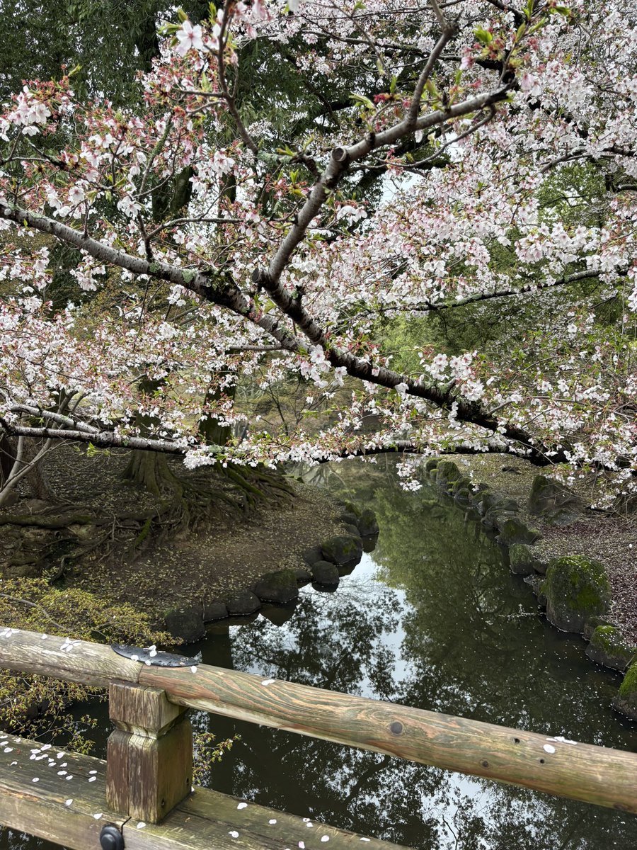 びっちー tweet media