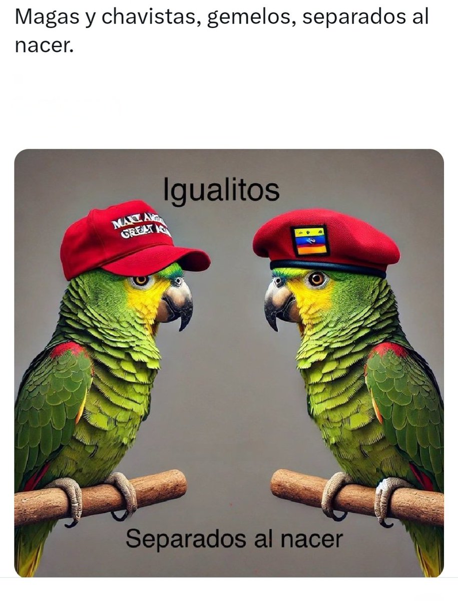 Hector Marquez tweet media