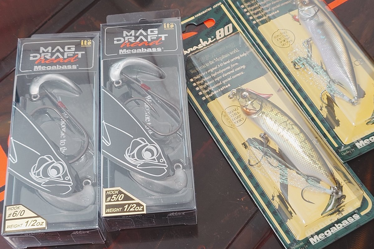 レジェーラ青木 tweet media