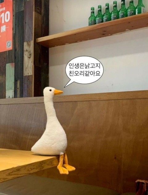 ㅁㄴ(ロレ) tweet media