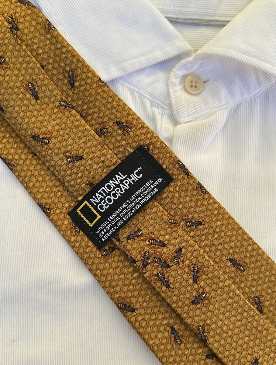 Shtreetwear tweet media