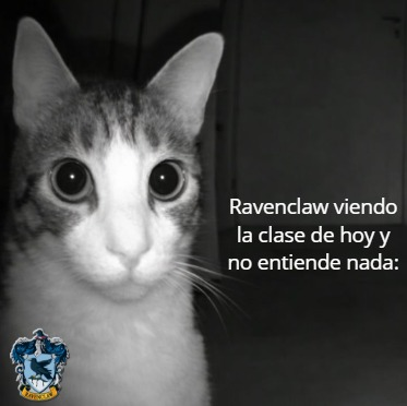 imiza lund ★ tweet media