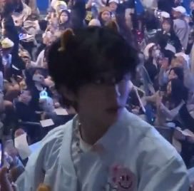 fokin mango🕷️ tweet media