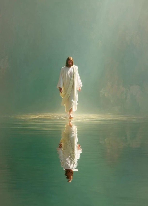 Machine Nueve Uno tweet media