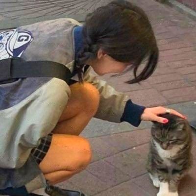 ˖᯽ ݁˖ mong ! ദ്ദി◝ ⩊ ◜.ᐟ tweet media