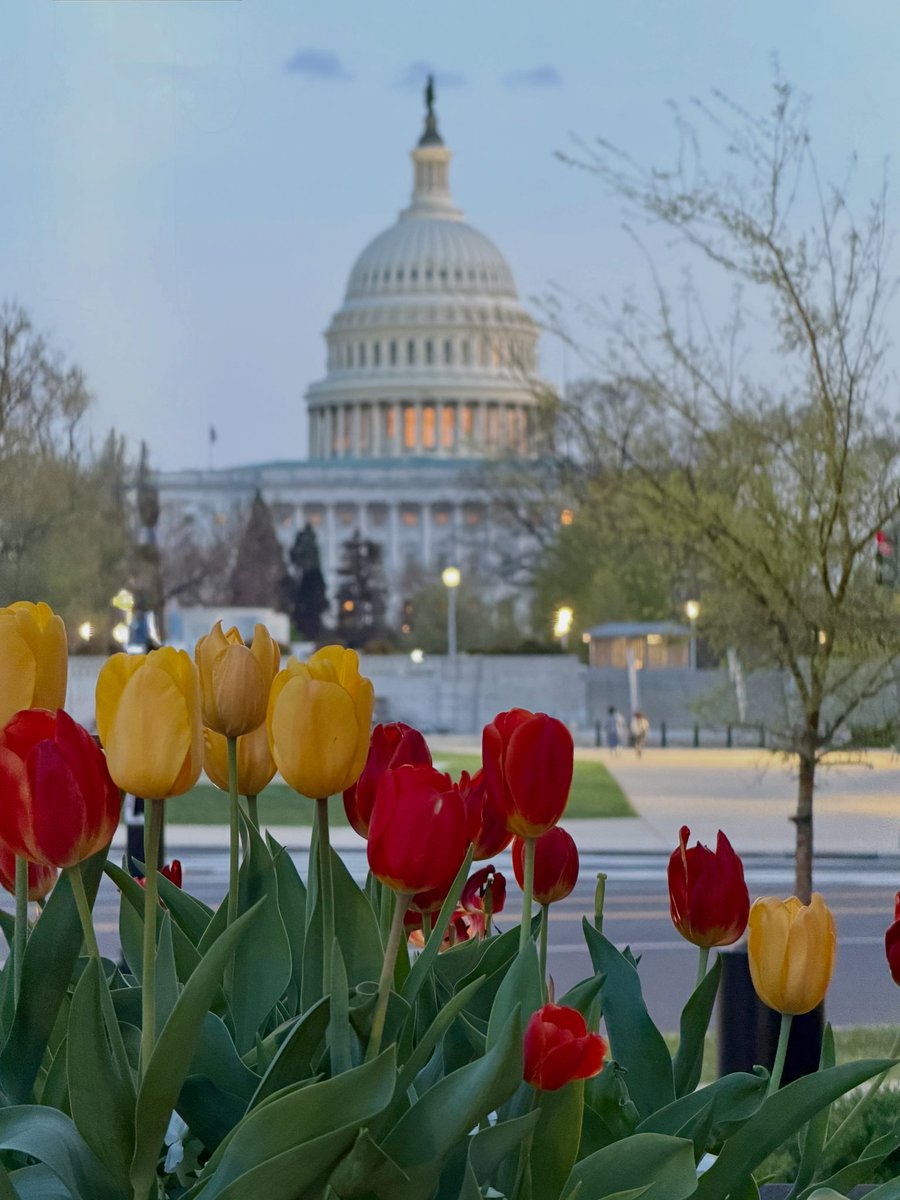 Scott Jennings tweet media