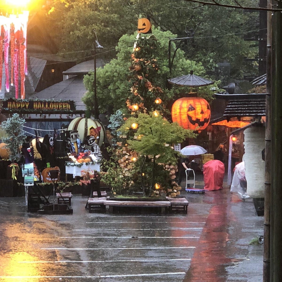 tess O))) tweet media