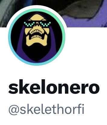 skelonero tweet media