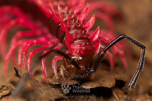 Vexellent 🩵🦋 tweet media