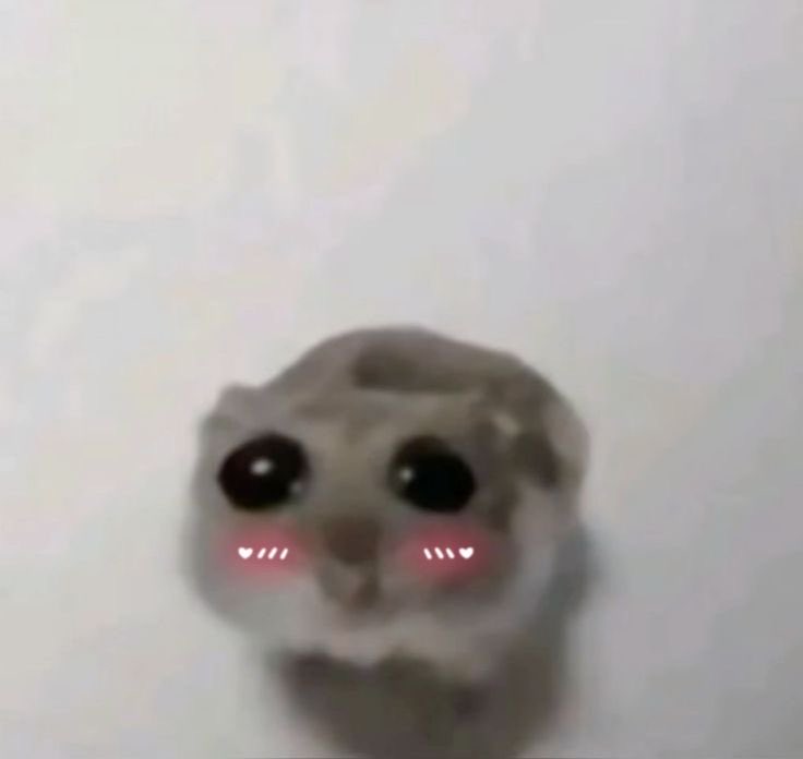 Astrah🪻 tweet media