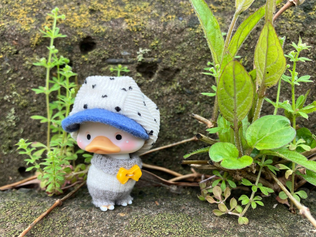 気がつけば数ヶ月経過していてびっくりです∑(O_O；)