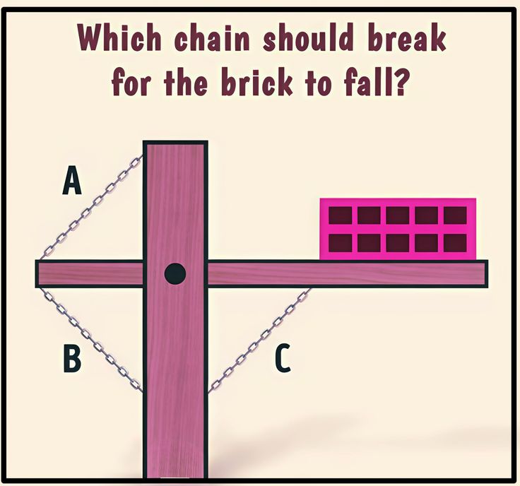 Elowen Frost 🇦🇨 tweet media