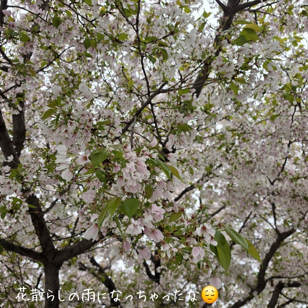 Hair Salon BLONDE Group tweet media