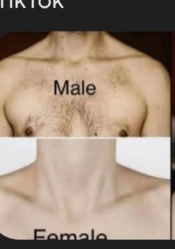 Jesse Lynn♥️ tweet media