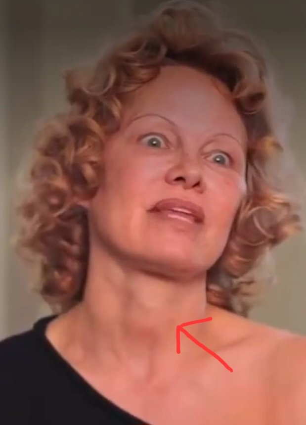 Jesse Lynn♥️ tweet media