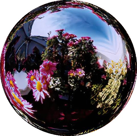 Lise 🏳️⚧️ tweet media