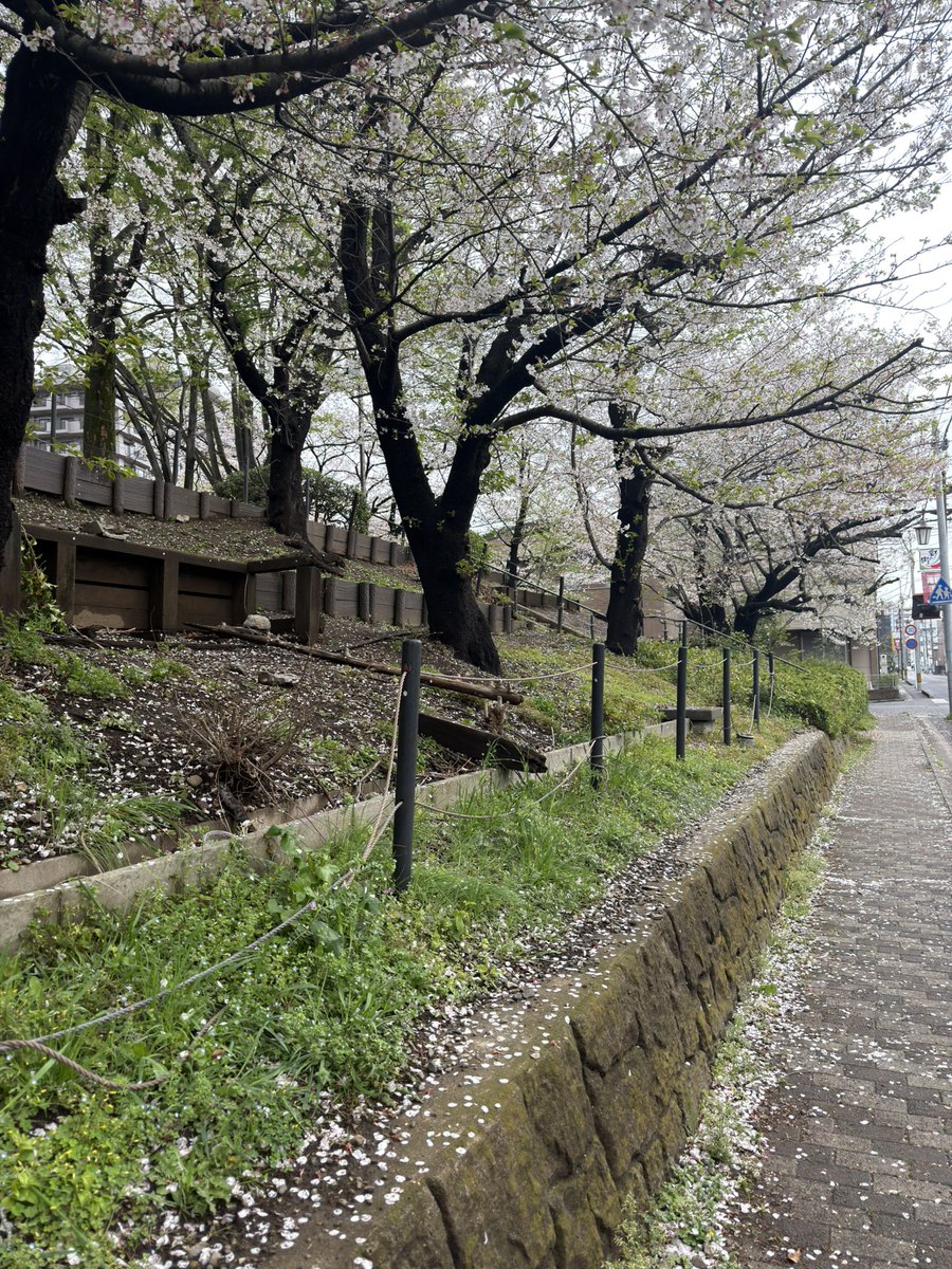 山本雄二 tweet media