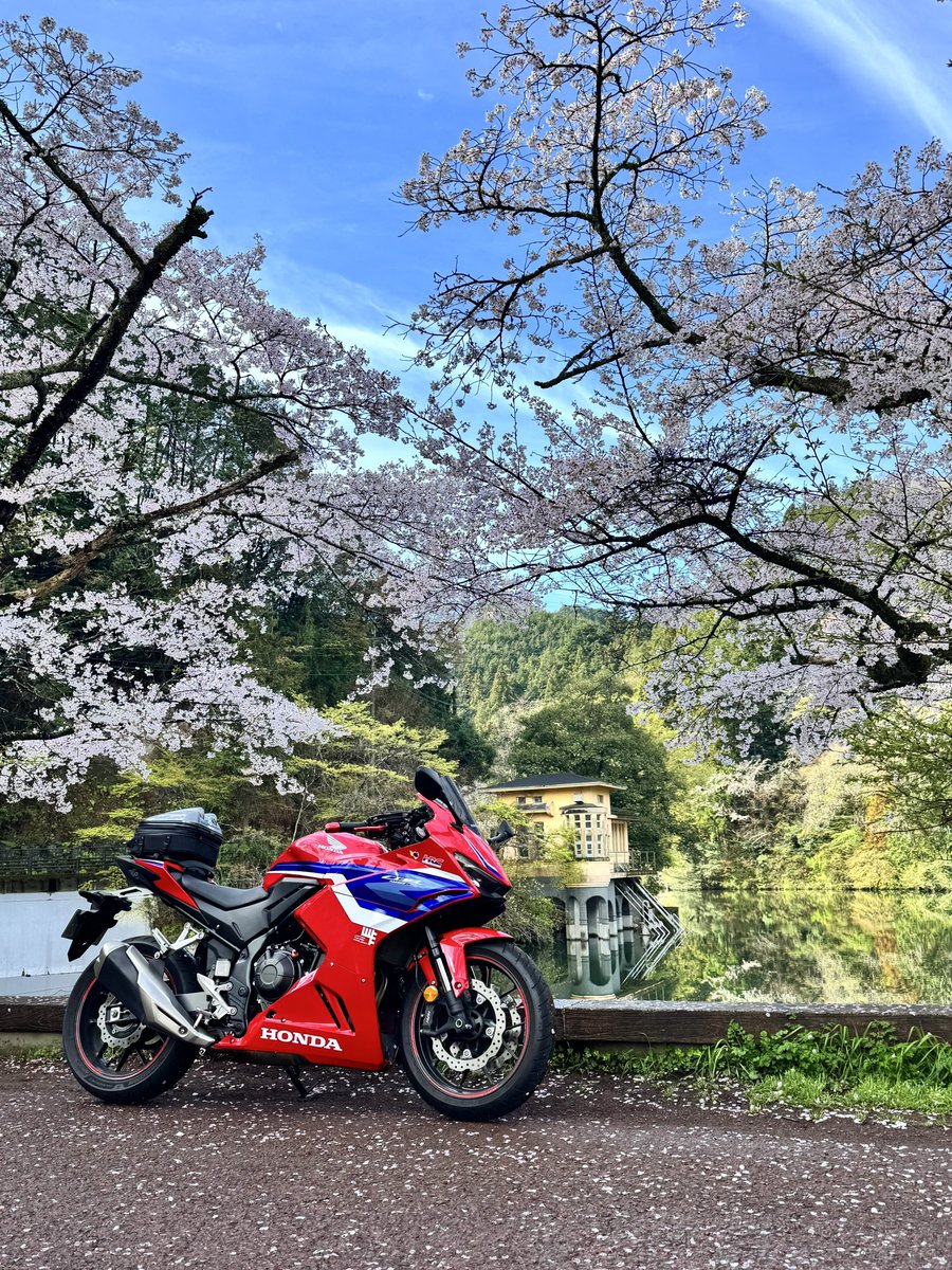 R子@CBR400R tweet media