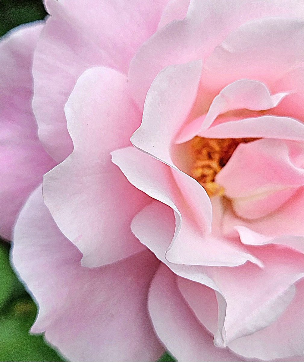 大工の ひろさん tweet media