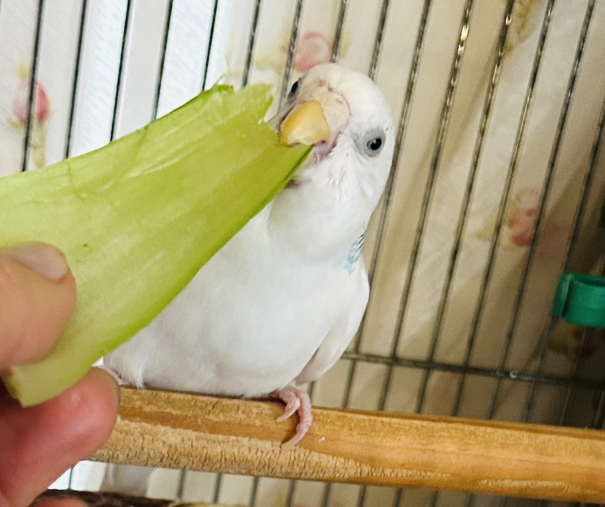 かみまち弓子上町弓子💙💛🕊️東村山市議会議員🌈🕊🌏 tweet media