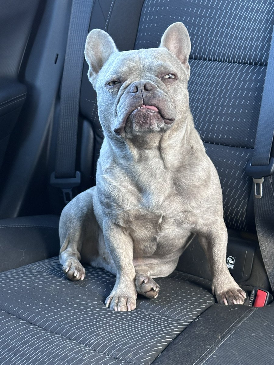 KoffeeKandi tweet media