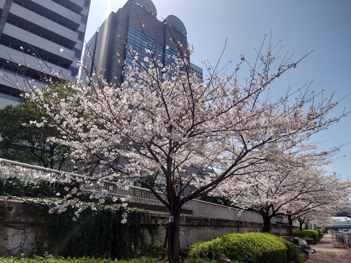 Zelda@ブレスト鯖 tweet media