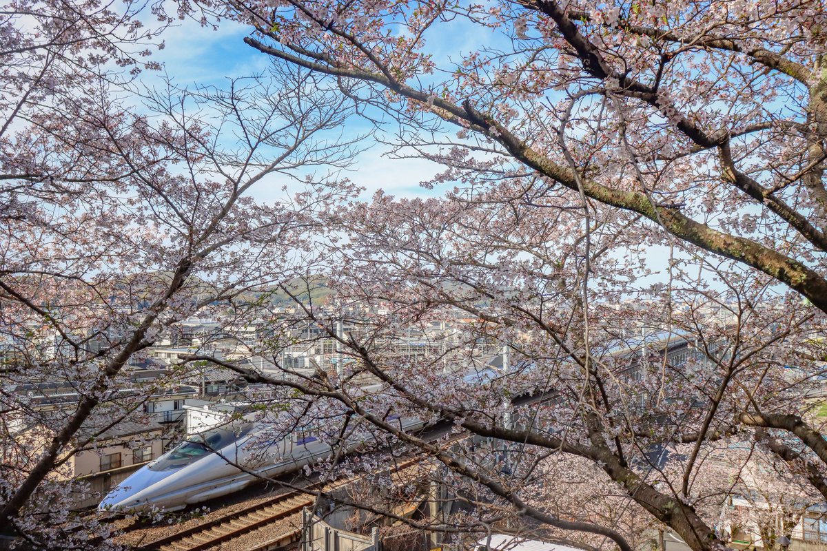 おふぐє( ˘ω˘ )эP C107 (2日目)西2さ38b委託 tweet media