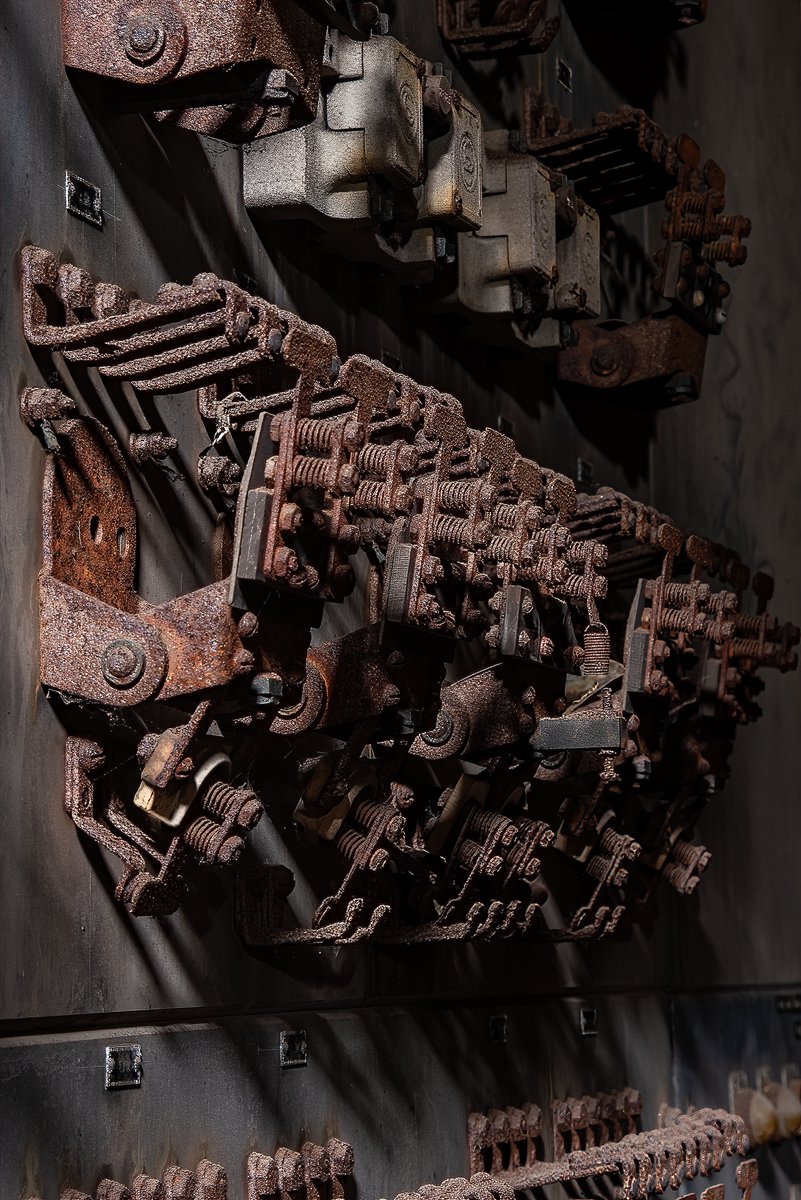 Mr. P. Explores tweet media