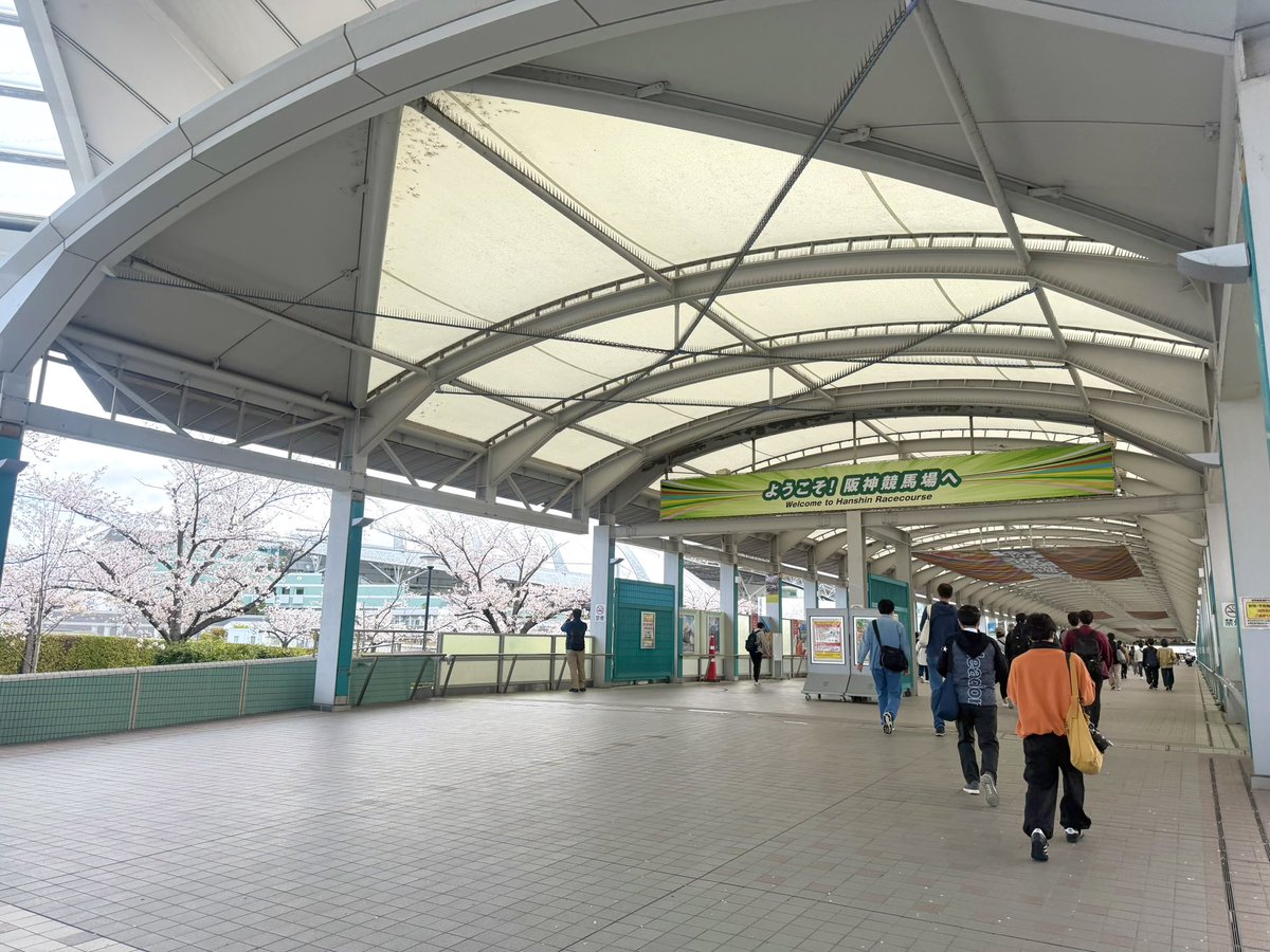 竹内千景 tweet media