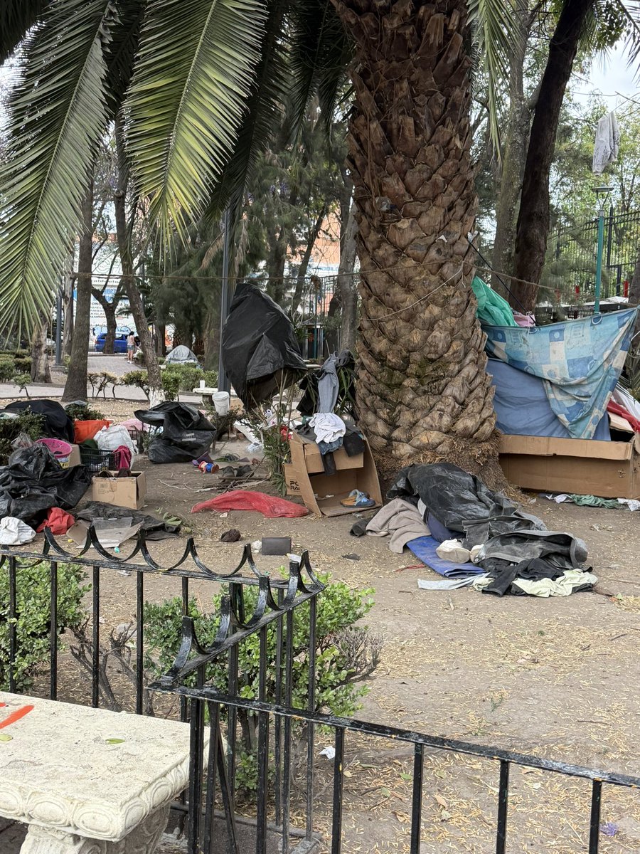 <a href="/ClaraBrugadaM/">Clara Brugada Molina</a> Mientras tanto todos los parques y camellones de la ciudad infestados de indigentes! Como la plaza de la Ciudadela en el centro! <a href="/GobCDMX/">Gobierno de la Ciudad de México</a>