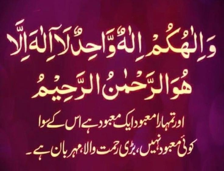 Nauman Dar Head Jeddah Region SMT Saudi Arabia tweet media