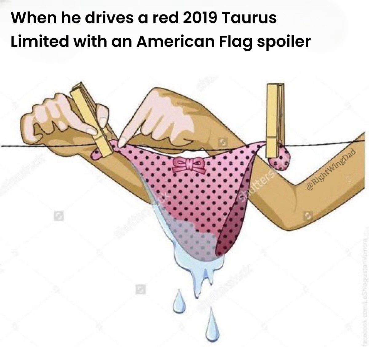 Right Wing Dad tweet media