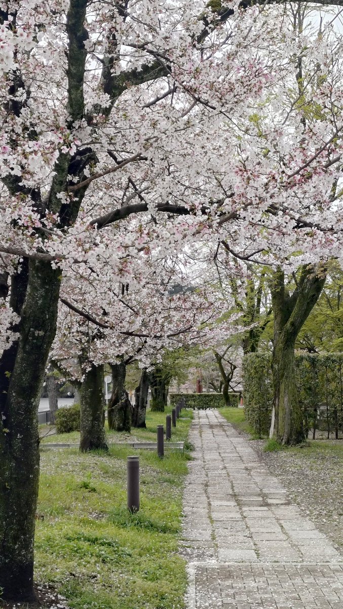 廃藩置県💦 tweet media