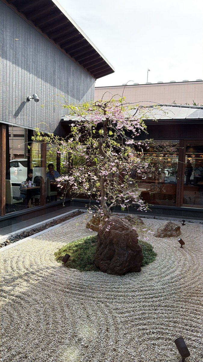 びーだま人 tweet media