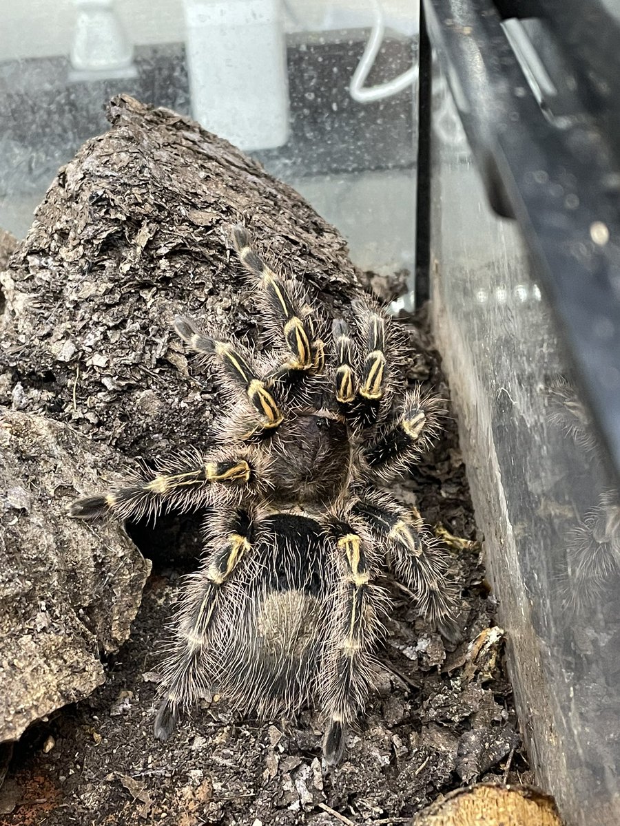 師岡雅史 tweet media