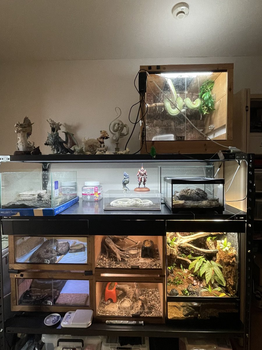 師岡雅史 tweet media