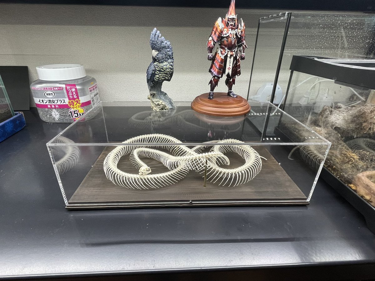 師岡雅史 tweet media