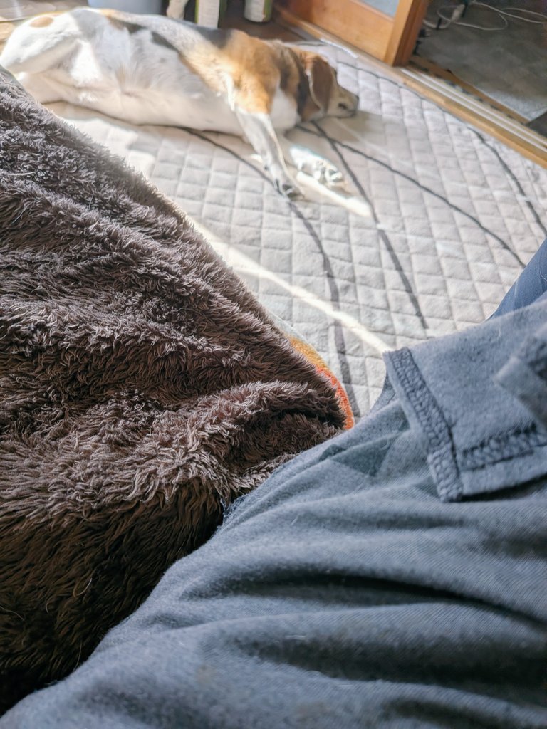 あゆっペス tweet media