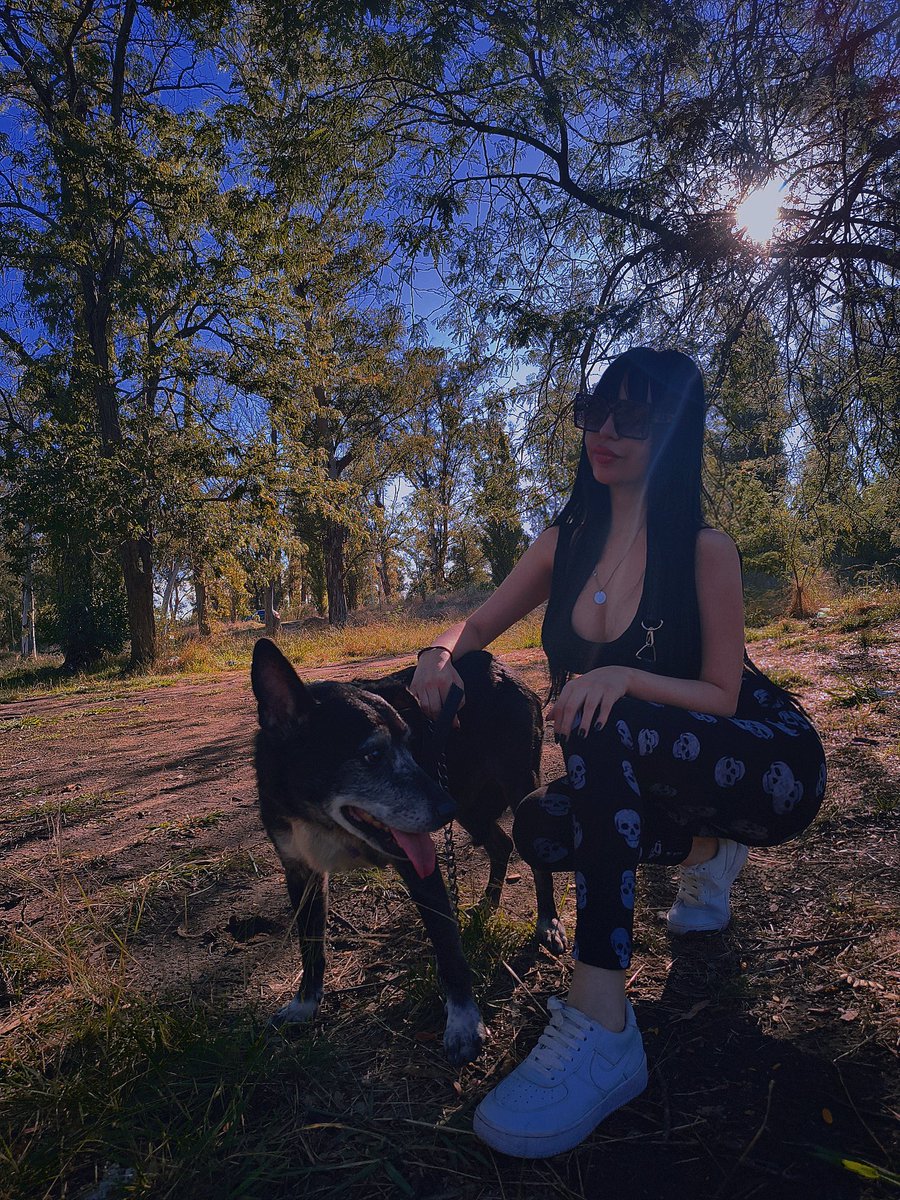 Lu Palavecino tweet media