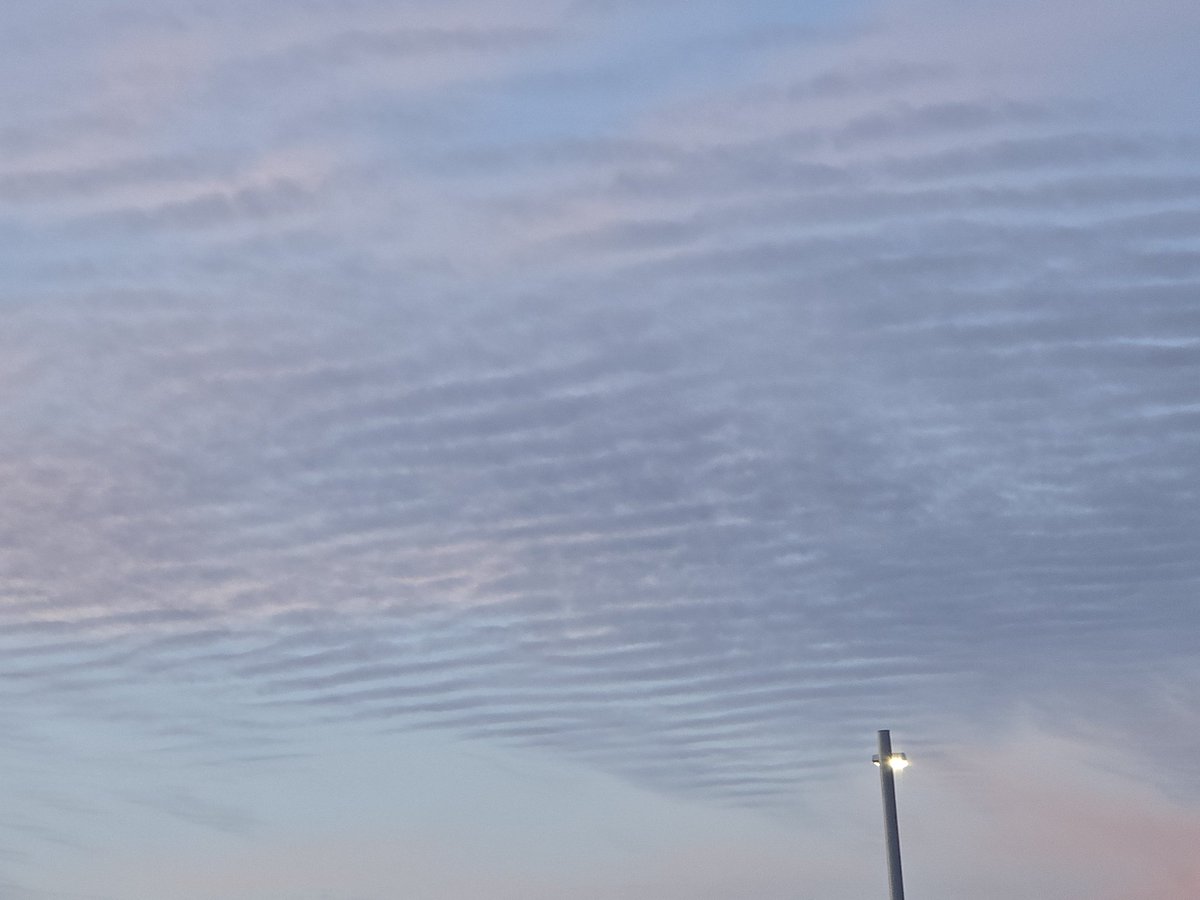 Jesse Lynn♥️ tweet media