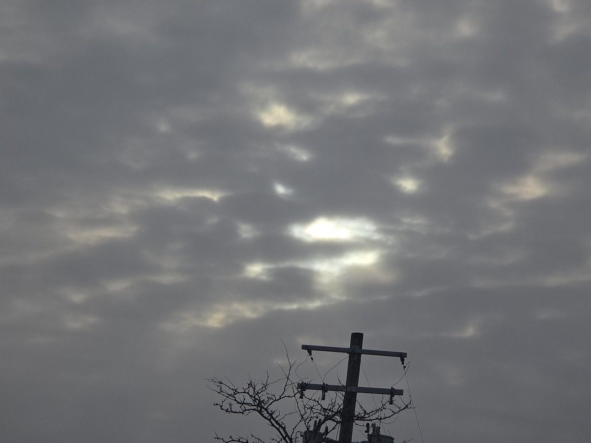 Jesse Lynn♥️ tweet media